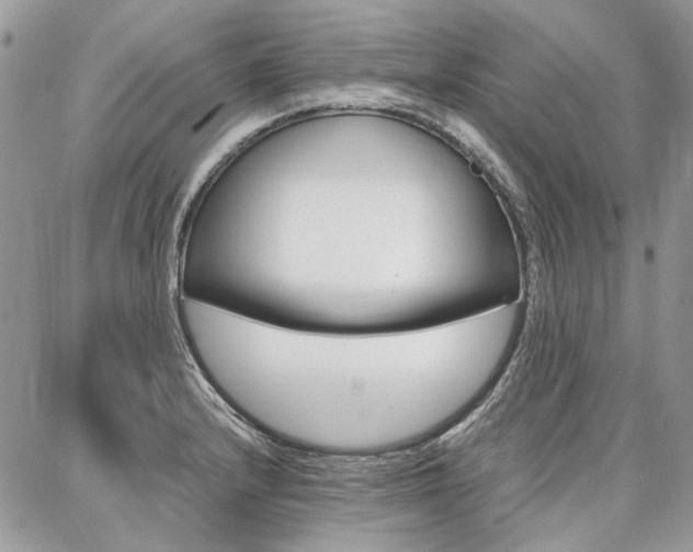 X0000087371232200704200809