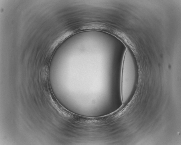 X0000087371233200704200809