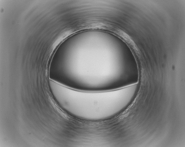X0000087371234200704200809