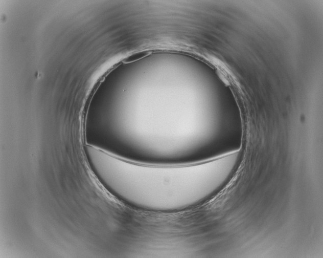 X0000087371238200704200809