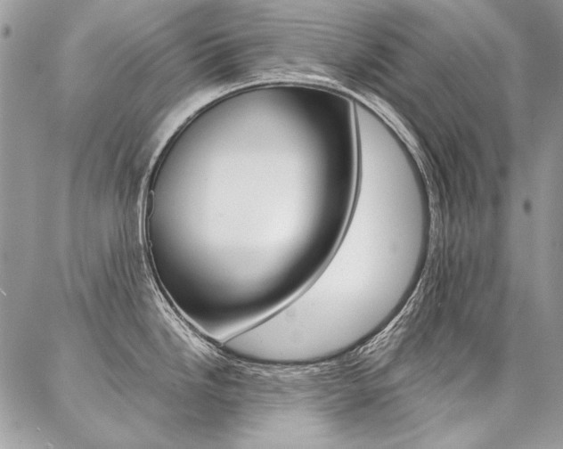 X0000087371246200704200810