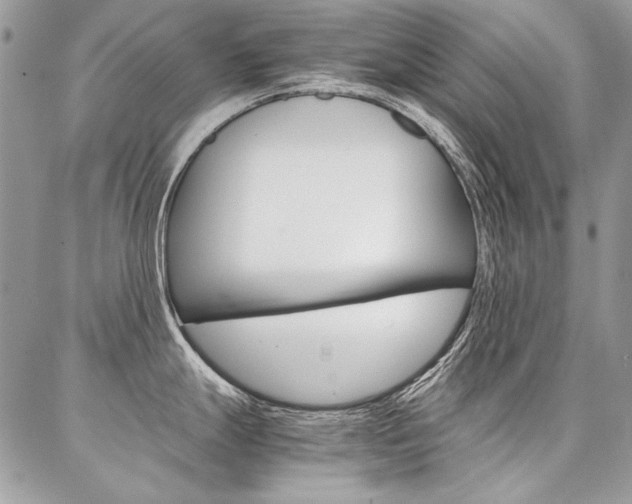 X0000087371247200704200810