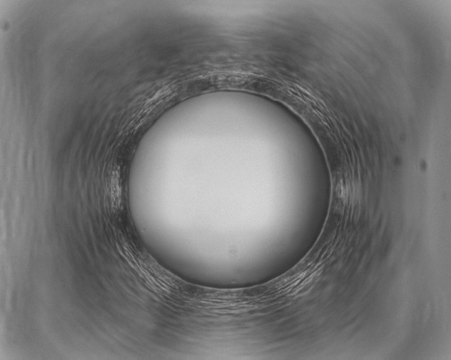 X0000087371252200704200809