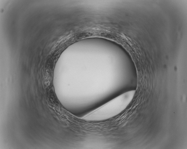 X0000087371253200704200809