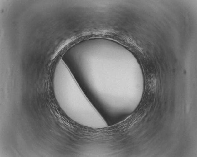 X0000087371256200704200809