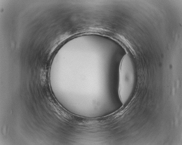 X0000087371260200704200809