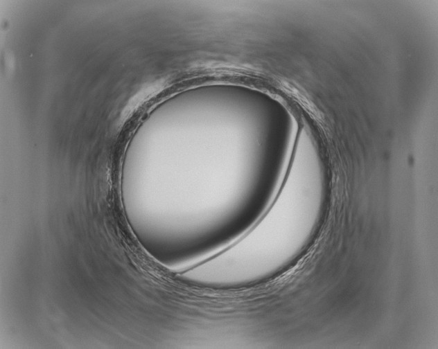 X0000087371261200704200809