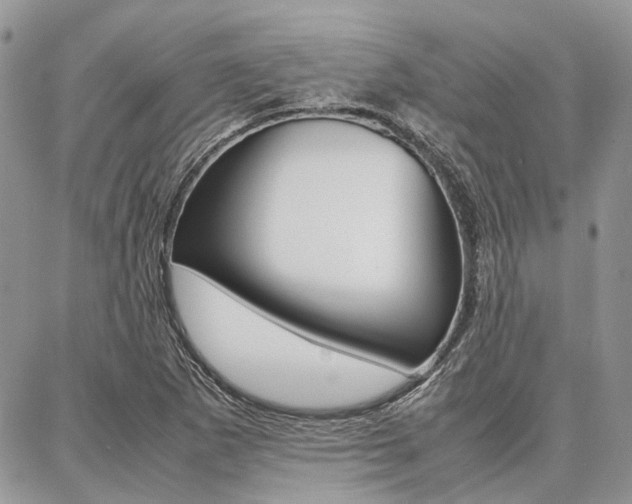 X0000087371265200704200809