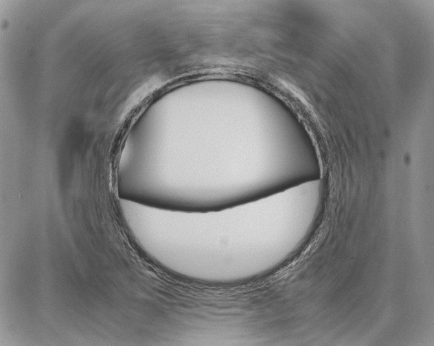 X0000087371267200704200809