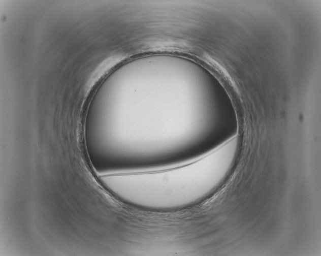 X0000087371277200704200808