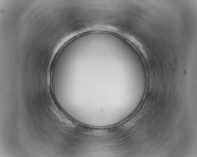 X0000087371280200704200808