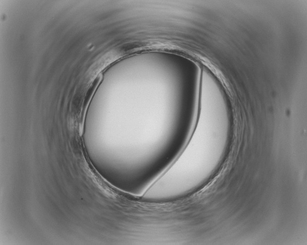 X0000087371281200704200808