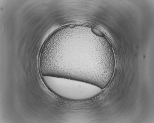 X0000087371283200704200808