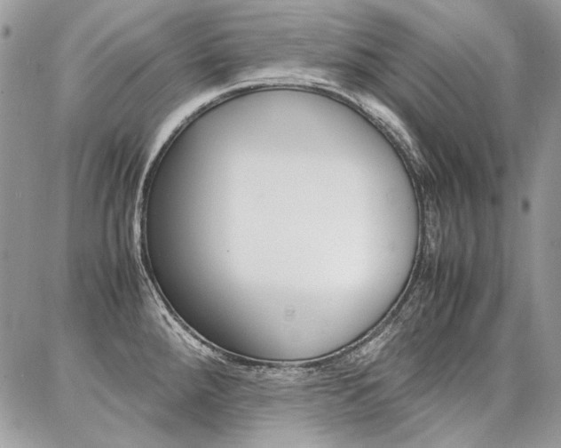 X0000087371288200704200808