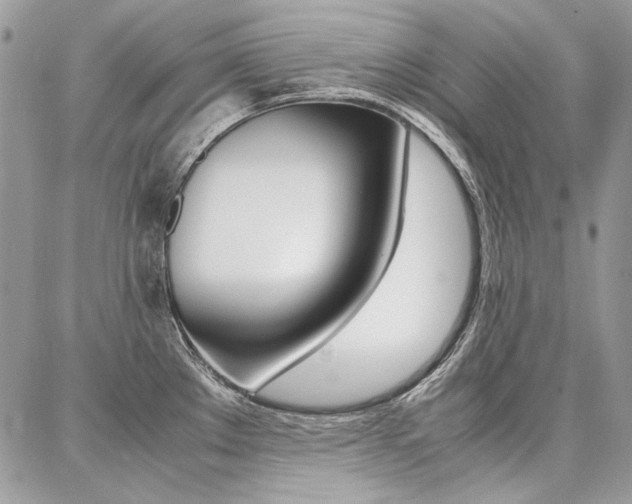 X0000087371289200704200808