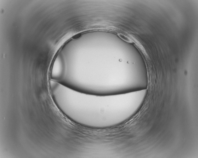 X0000087371291200704200808