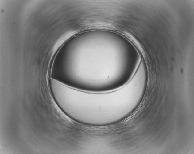 X0000087371293200704200808