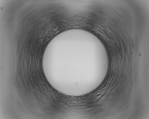 X0000087371298200704200807