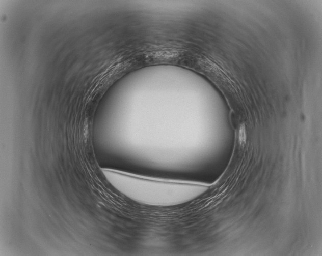 X0000087371299200704200807