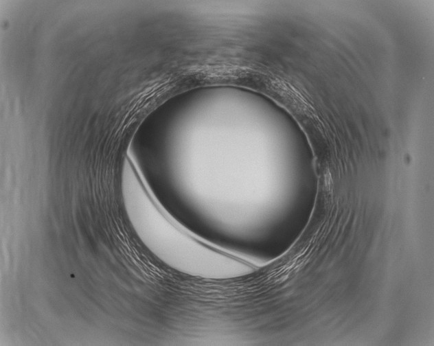 X0000087371300200704200807