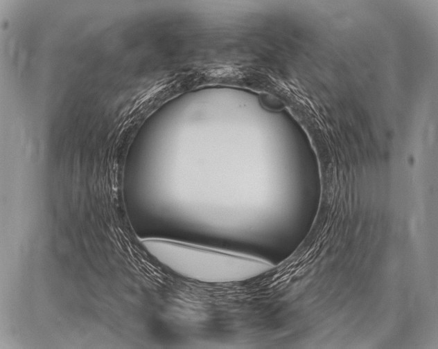 X0000087371301200704200807
