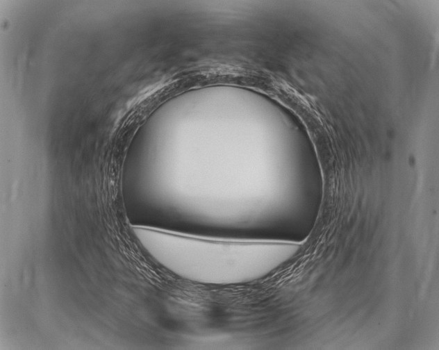 X0000087371303200704200807