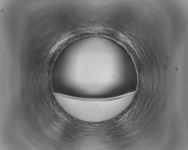 X0000087371304200704200807