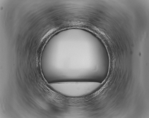 X0000087371306200704200807