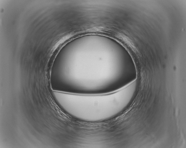 X0000087371308200704200807
