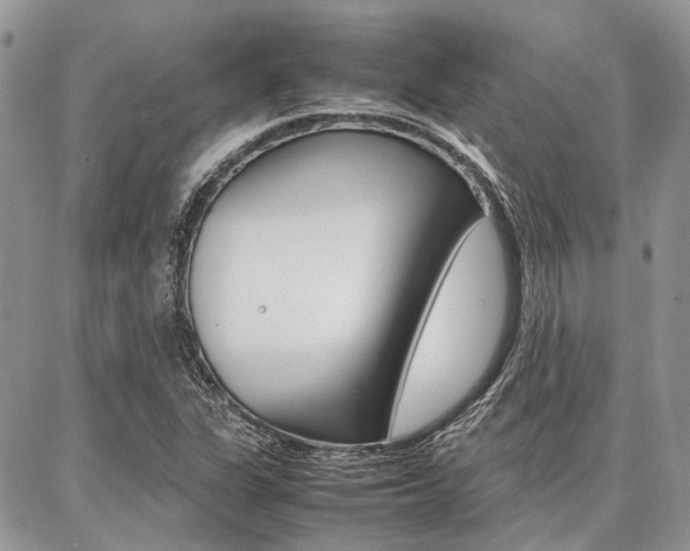 X0000087371311200704200808