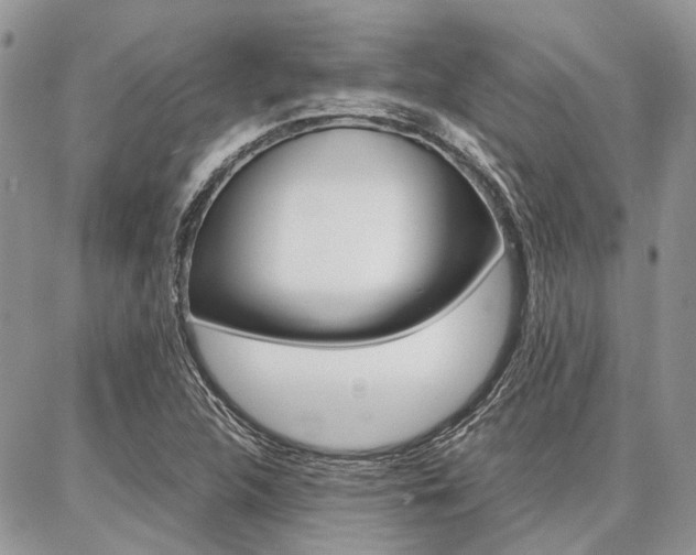 X0000087371312200704200808