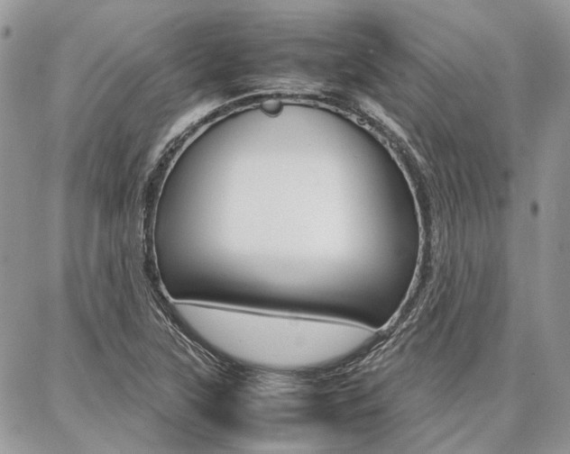 X0000087371315200704200808