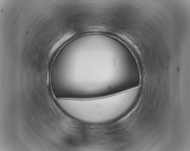 X0000087371317200704200808