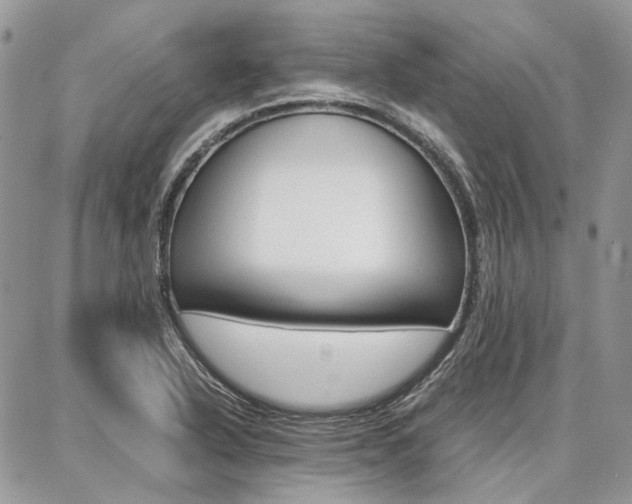 X0000087371318200704200808