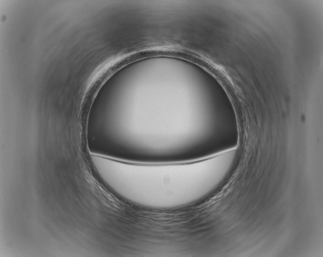 X0000087371319200704200808