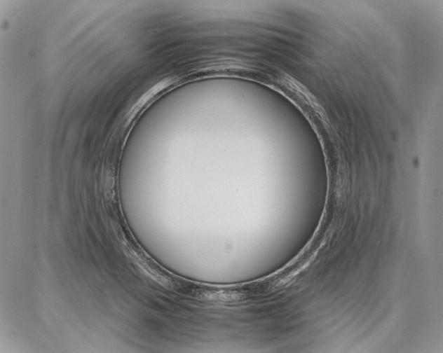X0000087371321200704200808