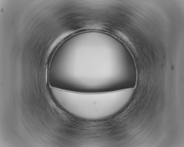 X0000087371323200704200808