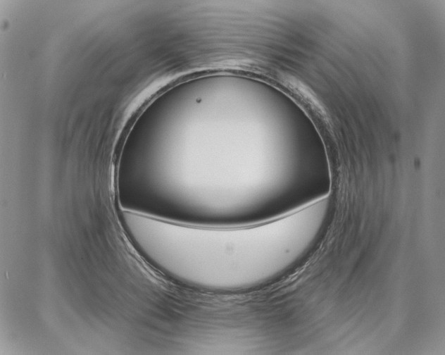 X0000087371324200704200808