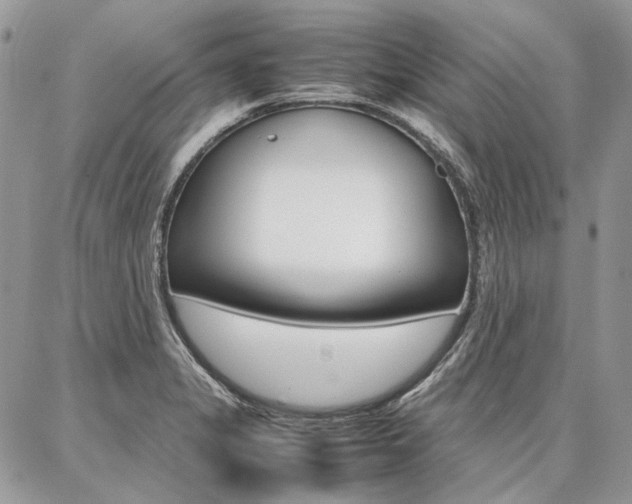 X0000087371325200704200808