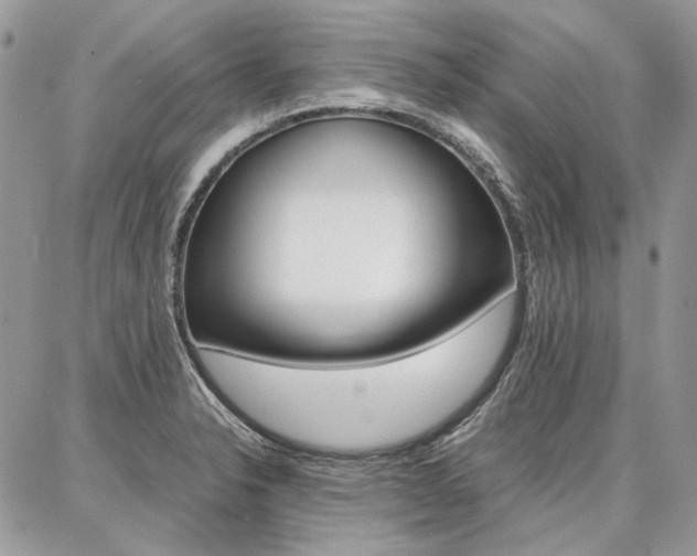 X0000087371326200704200808