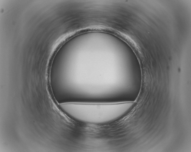 X0000087371327200704200808