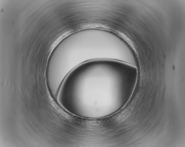 X0000087371330200704200808