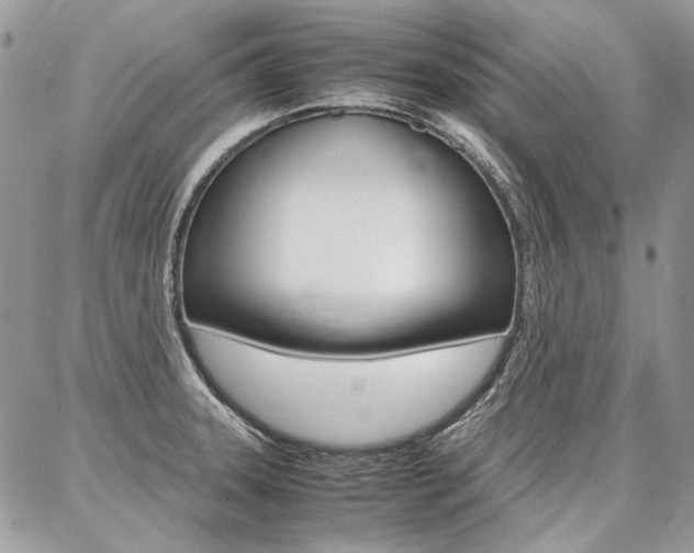 X0000087371331200704200808