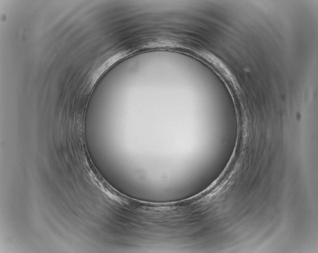 X0000087371337200704200808