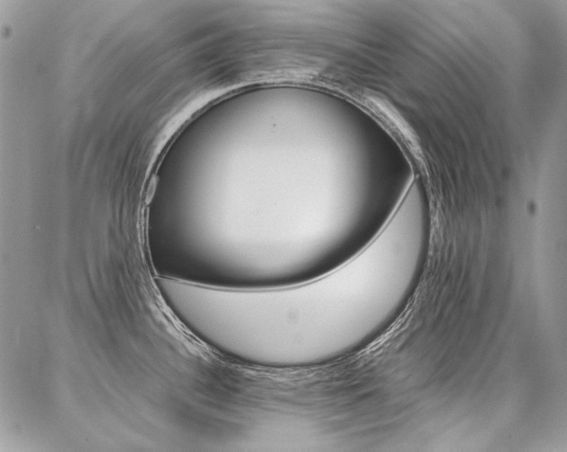 X0000087371340200704200808