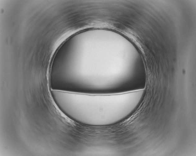 X0000087371343200704200808