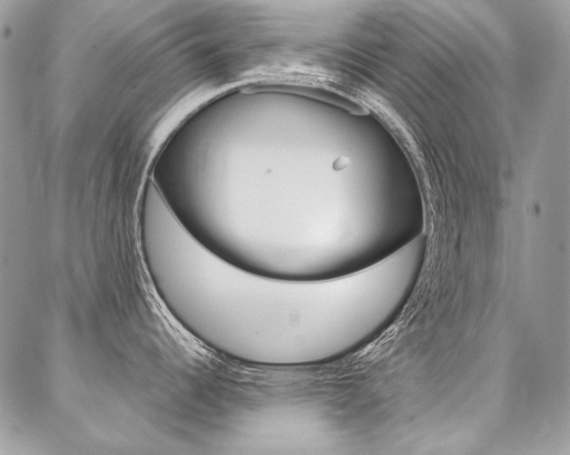 X0000087371344200704200808