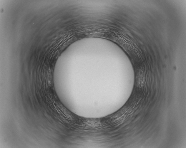 X0000087371346200704200807