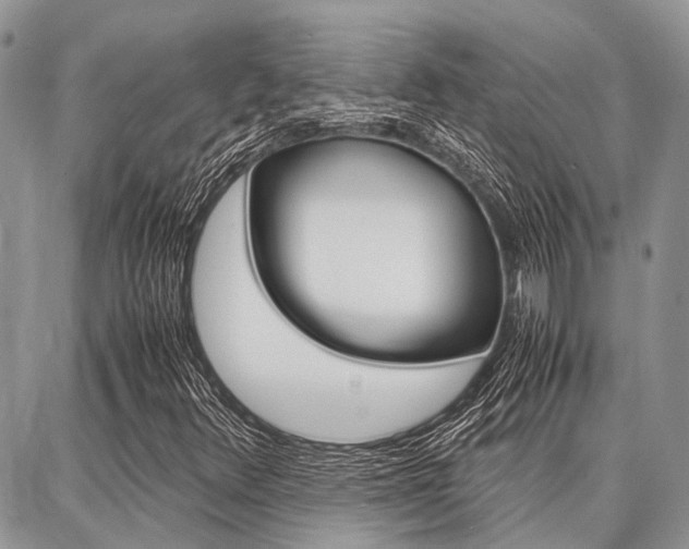 X0000087371348200704200807