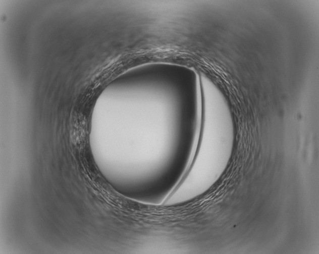X0000087371349200704200807
